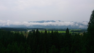 DSC_0136