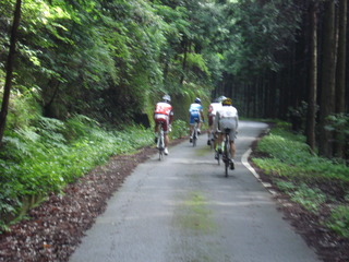 DSC04775