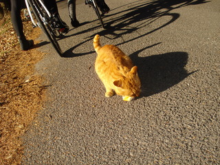 DSC04512