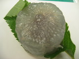 1477aa1a.jpg