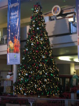 73812e43.jpg
