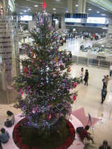 成田空港のクリスマスツリー