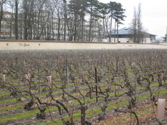 france4_16