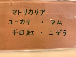ネーム