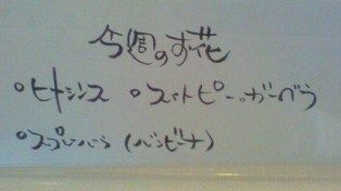 ネーム