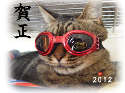 2012ǯ²ì¾õblog