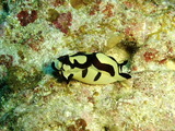 2011_12040037b