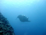 2011_12040029b
