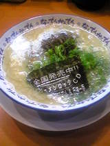 4454268e.jpg