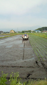65257ff7.jpg