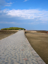 aoshima