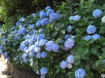 1aa26382.jpg