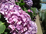 4fb22f02.jpg