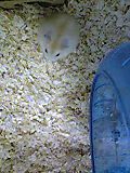 Image854.jpg