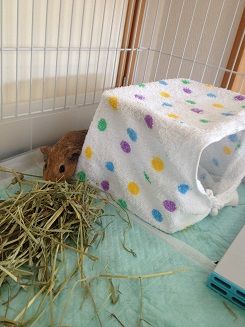 20130728-5.jpg