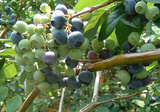 27e623b0.jpg