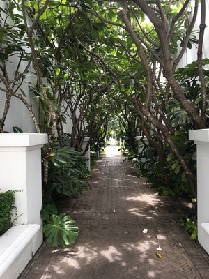 The Siam