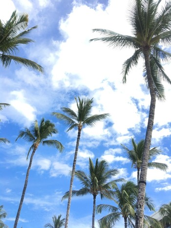 ハワイ島