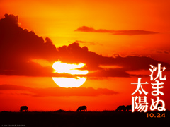 沈まぬ太陽