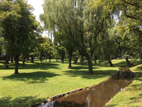 北海道大学
