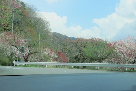 20170422-122553-0