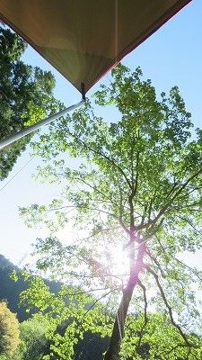 20160505_081051_0