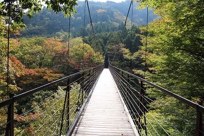 20141026_115945_0