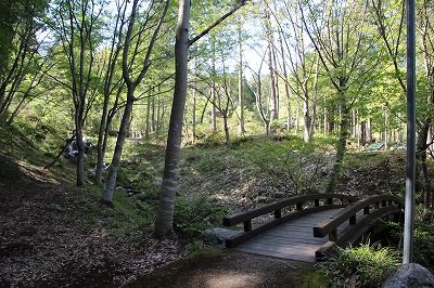 20140504_083630_0