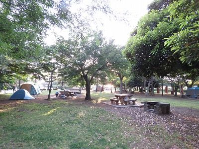 IMG_1230