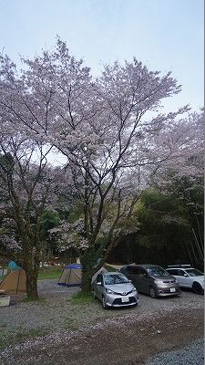 20160410_053439_0
