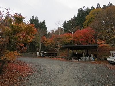 IMG_3720
