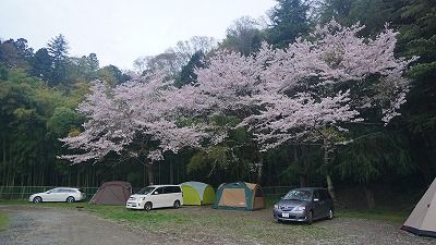20160410_053608_0