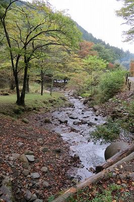 20161029_142221_0