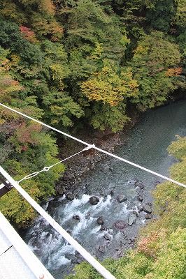 20141026_114606_0