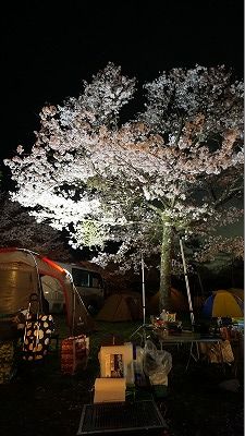 20160409_215648_0
