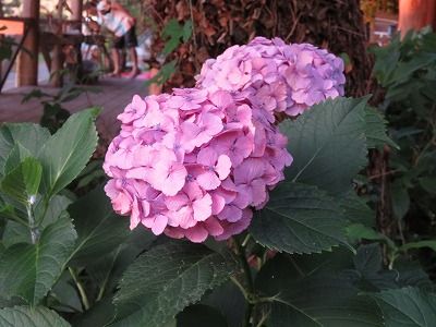 20150628_045028_0