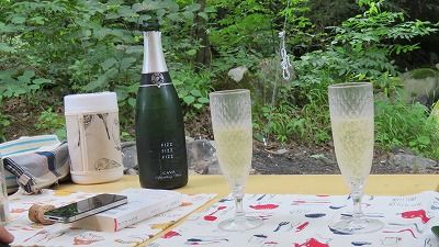 20160723_170200_0