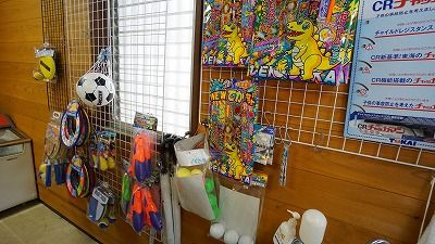 青根キャンプ場