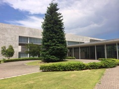 photo1 (4)