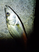 b8c098d0.jpg