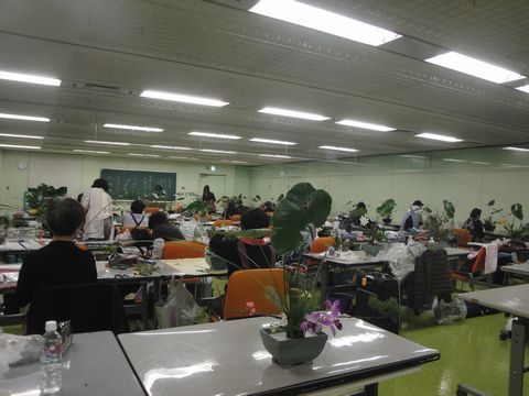 DSC04602