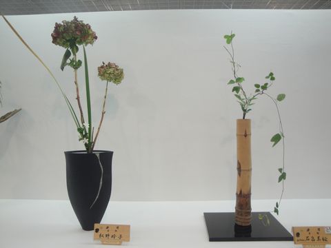 DSC04025