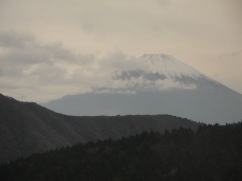 DSC04213