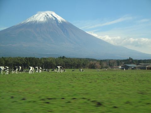 DSC04377