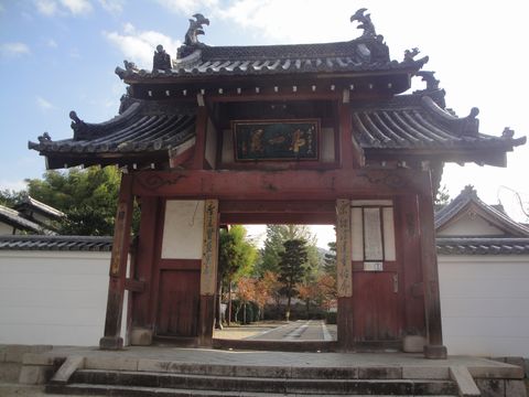 DSC03966
