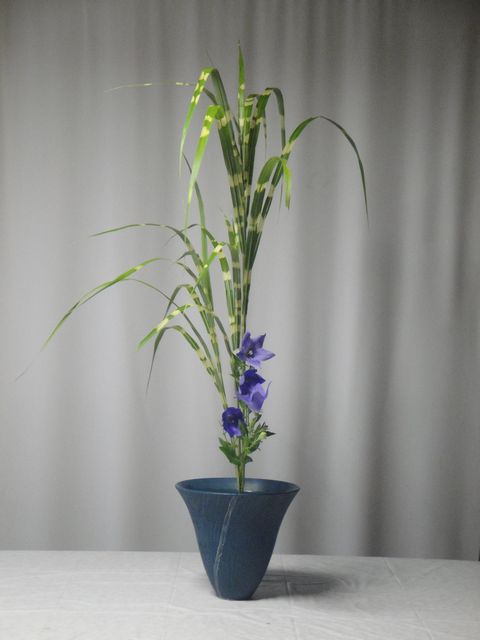 DSC02791