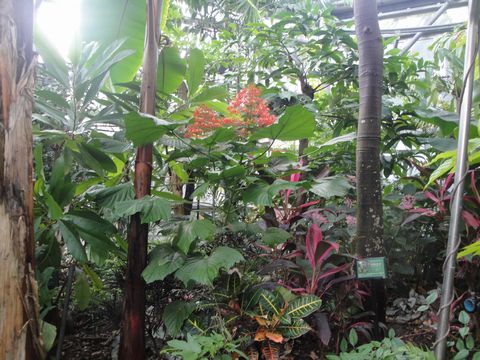 DSC03168
