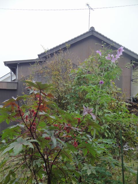 DSC04067