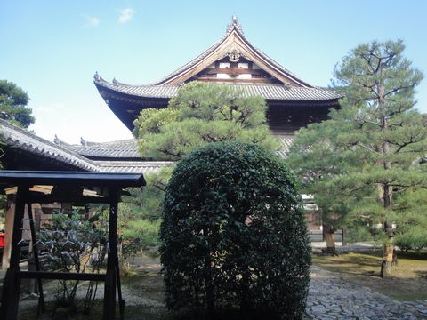 DSC03992