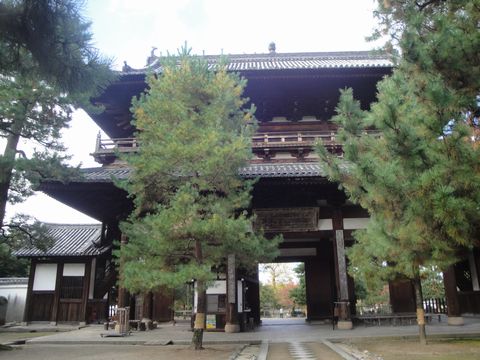 DSC03980